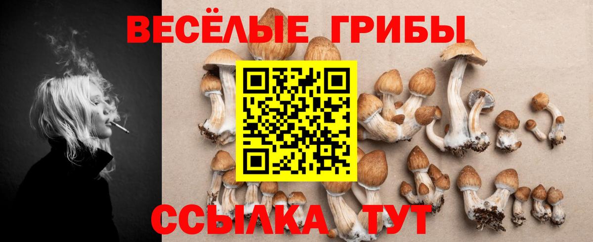 Лангепас  Галлюциногенные грибы мицелий  Вход с VPN 